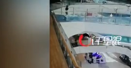 فيديو.. لحظة سقوط امرأة ببركة أسماك بطريقة مروعة