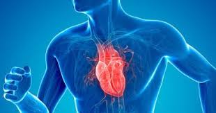 ادعاء المعالج الشعبي تشخيص مرض عضلة القلب بالنظر.. وهم كبير - المواطن