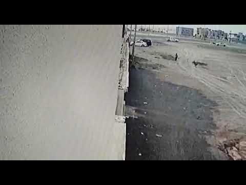 فيديو.. كلاب ضالة تهاجم طفلاً أثناء عودته من المدرسة بصامطة