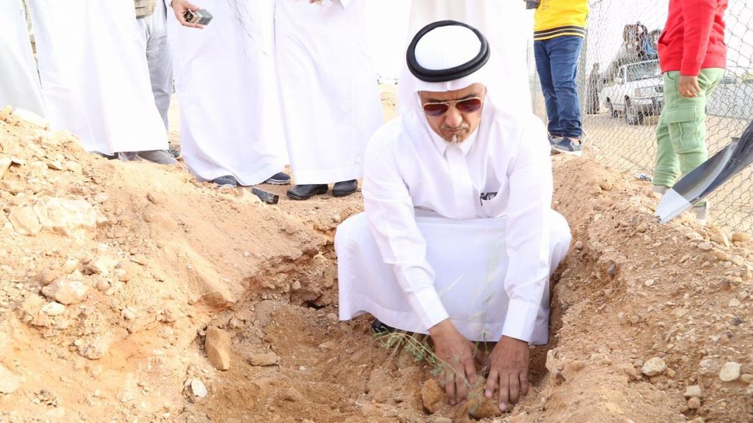 البيئة تبدأ المرحلة الثانية من تشجير طرق الرياض بزراعة 8 آلاف شجرة