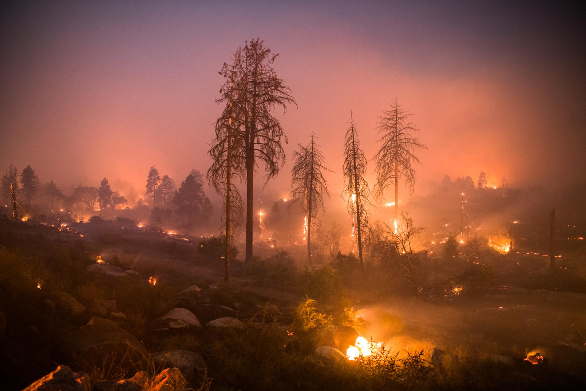 صور.. مقتل 42 وتدمير 7 آلاف منزل بحرائق كاليفورنيا