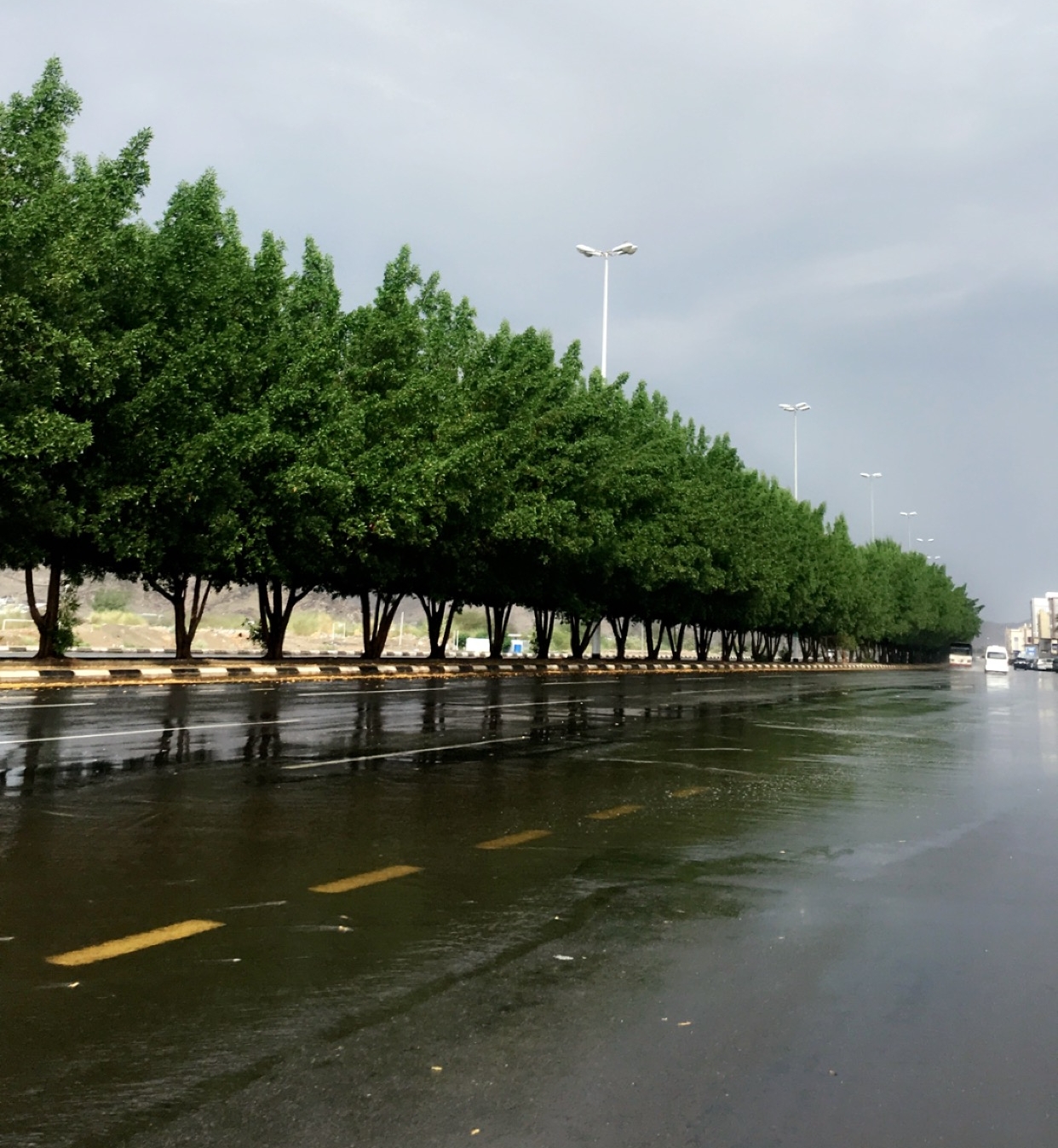 صور.. "المواطن" توثق أمطار مكة الصباحية رسائل البشر والسرور - المواطن