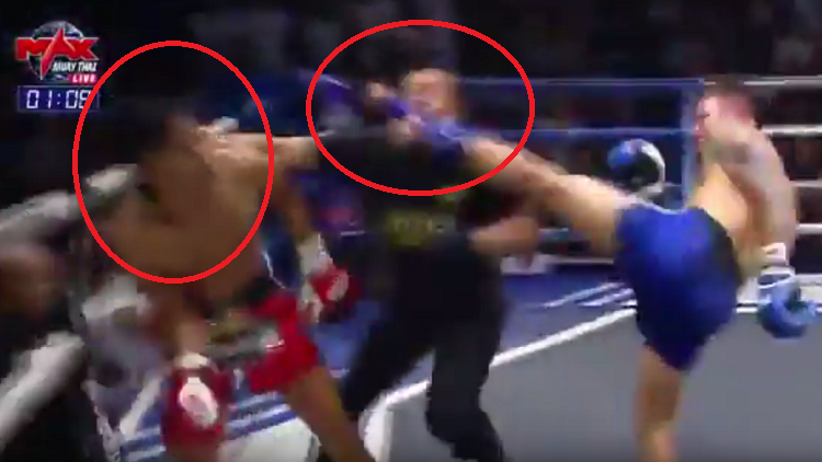 فيديو مثير.. ملاكم يسقط خصمه وحكم اللقاء بضربة واحدة