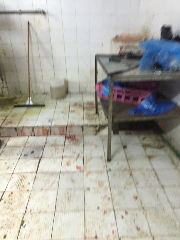 "المواطن" خلف الكواليس.. مسلخ مخالف يذبح ليلًا في الخميس - المواطن