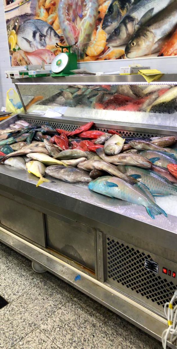 أسماك فاسدة في سوق جرول ومخالفة 7 محلات - المواطن