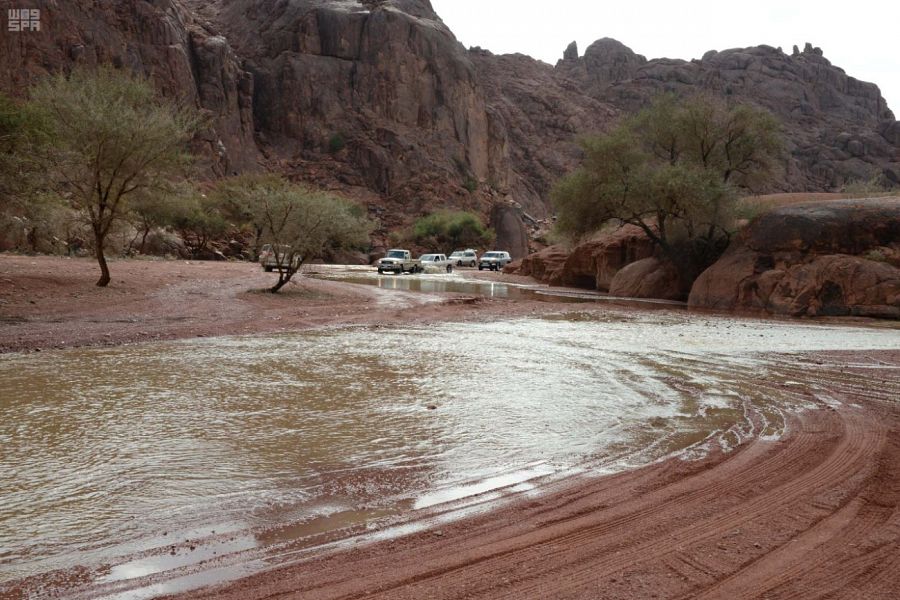 صور.. أمطار حائل تسيل الشعاب والأودية وبانتظار المزيد