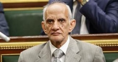 برلماني مصري: ولي العهد يقود المملكة بفكره المستنير إلى نهضة كبرى