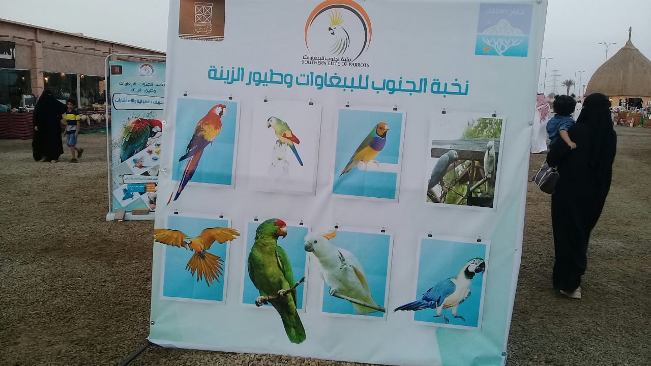 فيديو وصور.. مهرجان الببغاوات والطيور يجذب زوار القرية التراثية بجازان