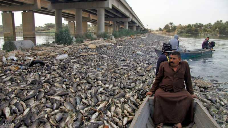 كله مات.. نفوق آلاف الأطنان من أسماك العراق بسبب تركيا وإيران!