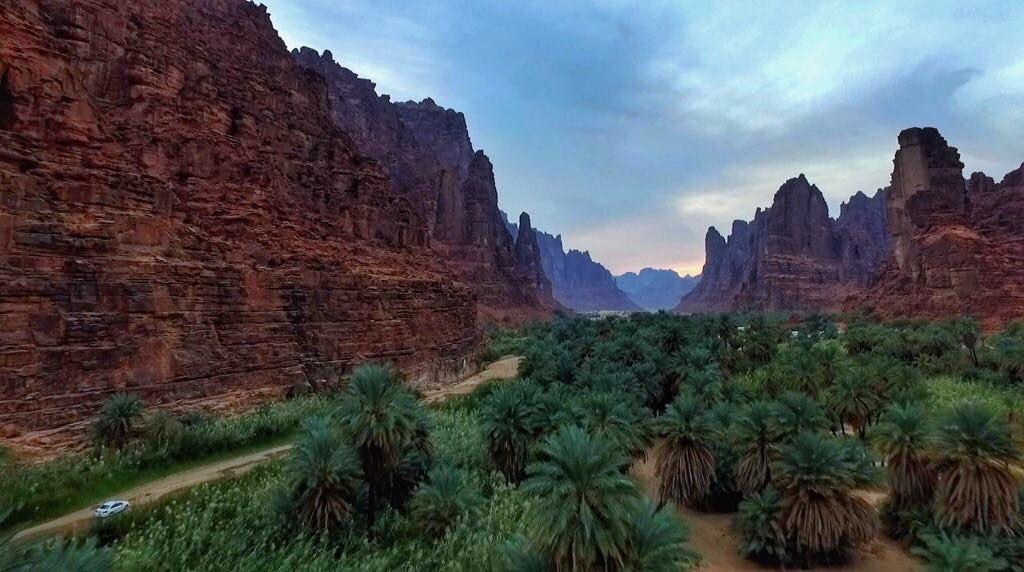 فيديو.. ماهو مشروع تطوير وادي الديسة ؟