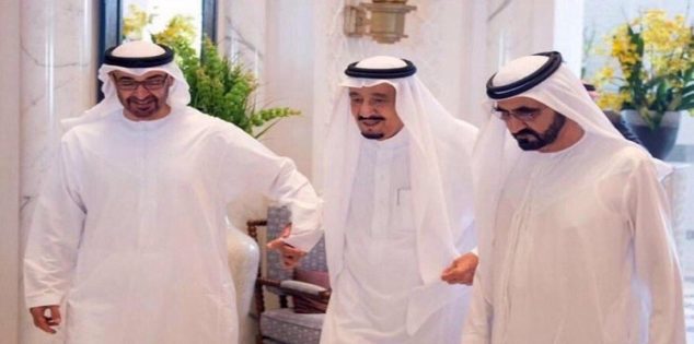 سلطان بن زايد يهنئ الملك سلمان بالذكرى الرابعة لتوليه مقاليد الحكم