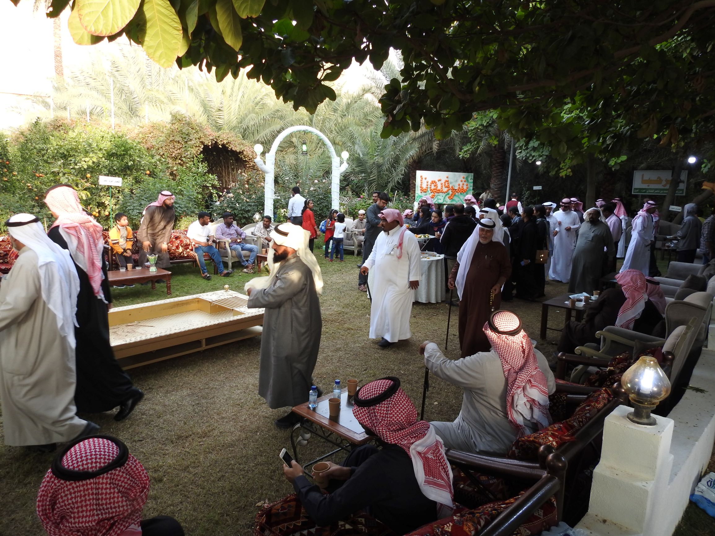 صور.. مزرعة خضراء تفتح أبوابها لزوار مهرجان الحمضيات في الحريق