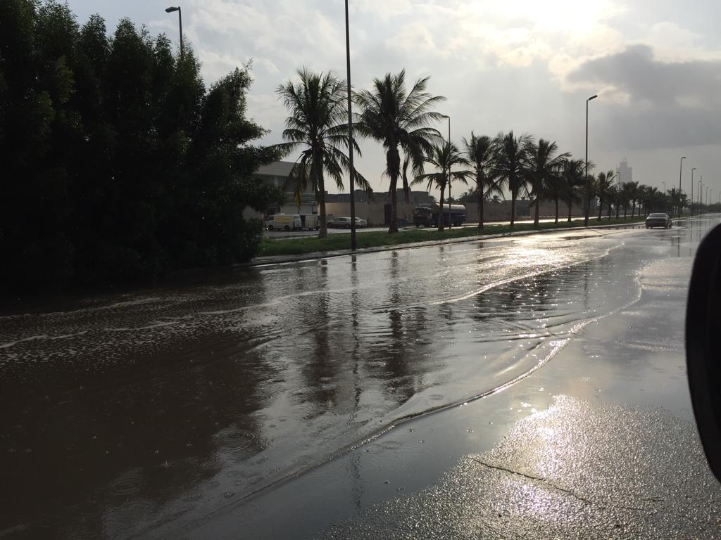 الحصيني يتوقع أمطارًا غزيرة وسيولًا على عدة مناطق