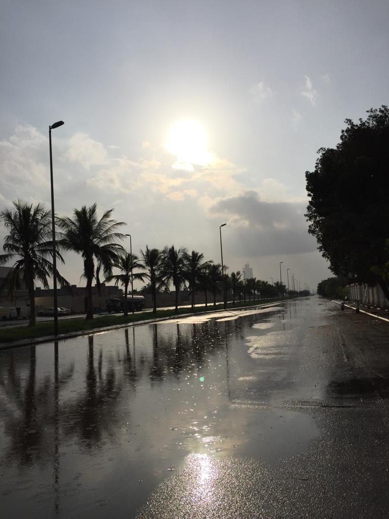 حالة الطقس المتوقعة غدًا.. أمطار رعدية وغبار في 7 مناطق