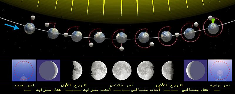 المسند: لهذه الأسباب لا يستقيم الحساب الفلكي بناءً على اكتمال القمر بدرًا