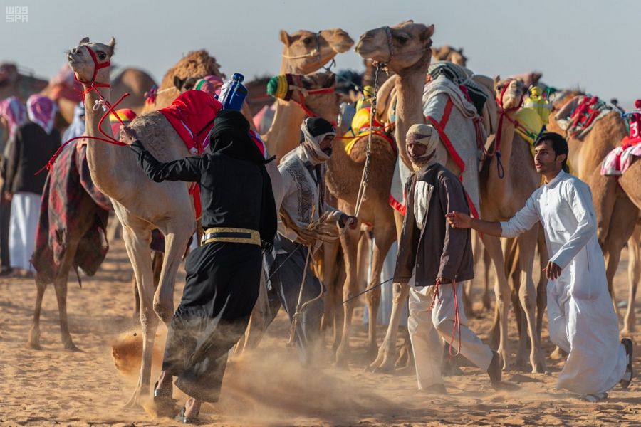 أصالة وقيم واستثمار.. ماذا تعرف عن رياضة الهجن في الربع الخالي؟