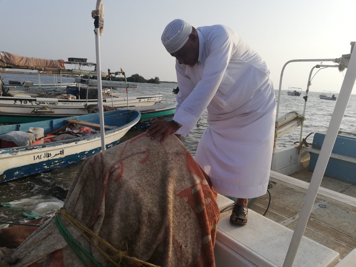 بعد أن ضن عليهم البحر بخيره.. صيادو جازان يناشدون إعفاءهم من القروض