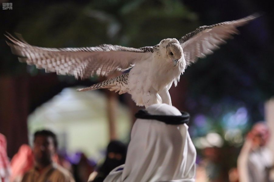 مهرجان الملك عبدالعزيز للصقور .. إرثٌ يتجدد