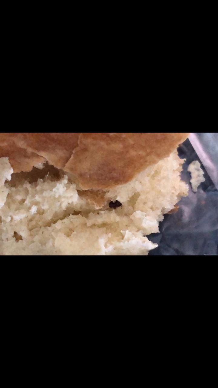 حشرة داخل صامولي تقود لإغلاق مخبز في النماص