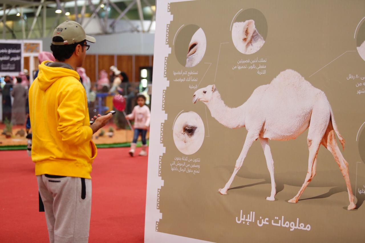 معرض الرياض للأصالة والتراث يغرس حب التعلم بأدوات ترفيهية