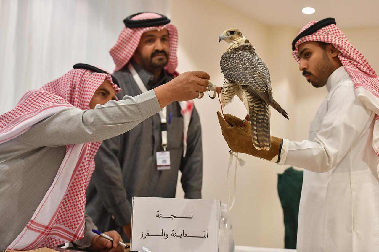 مهرجان الملك عبدالعزيز للصقور يواصل التسجيل بالرياض.. ويبدأ غدا بحفر الباطن