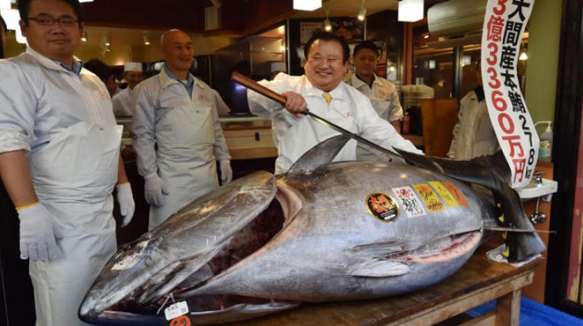 ياباني يشتري سمكة تونة بـ 3.1 مليون دولار