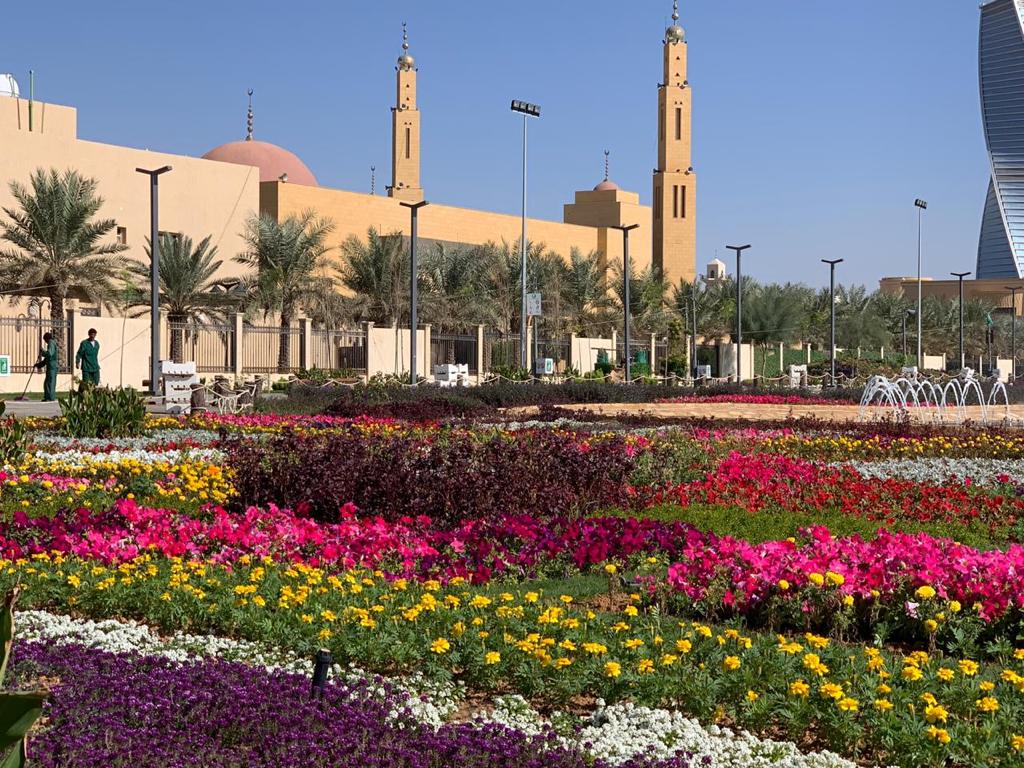 أمانة الرياض: 596 حديقة وساحة بلديّة تضمها أرجاء العاصمة