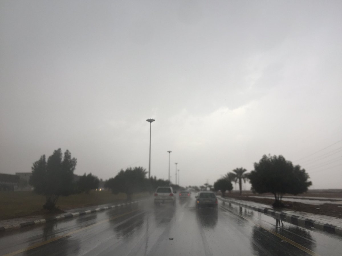 تحذير لأهالي تبوك : أمطار رعدية وغبار حتى السابعة