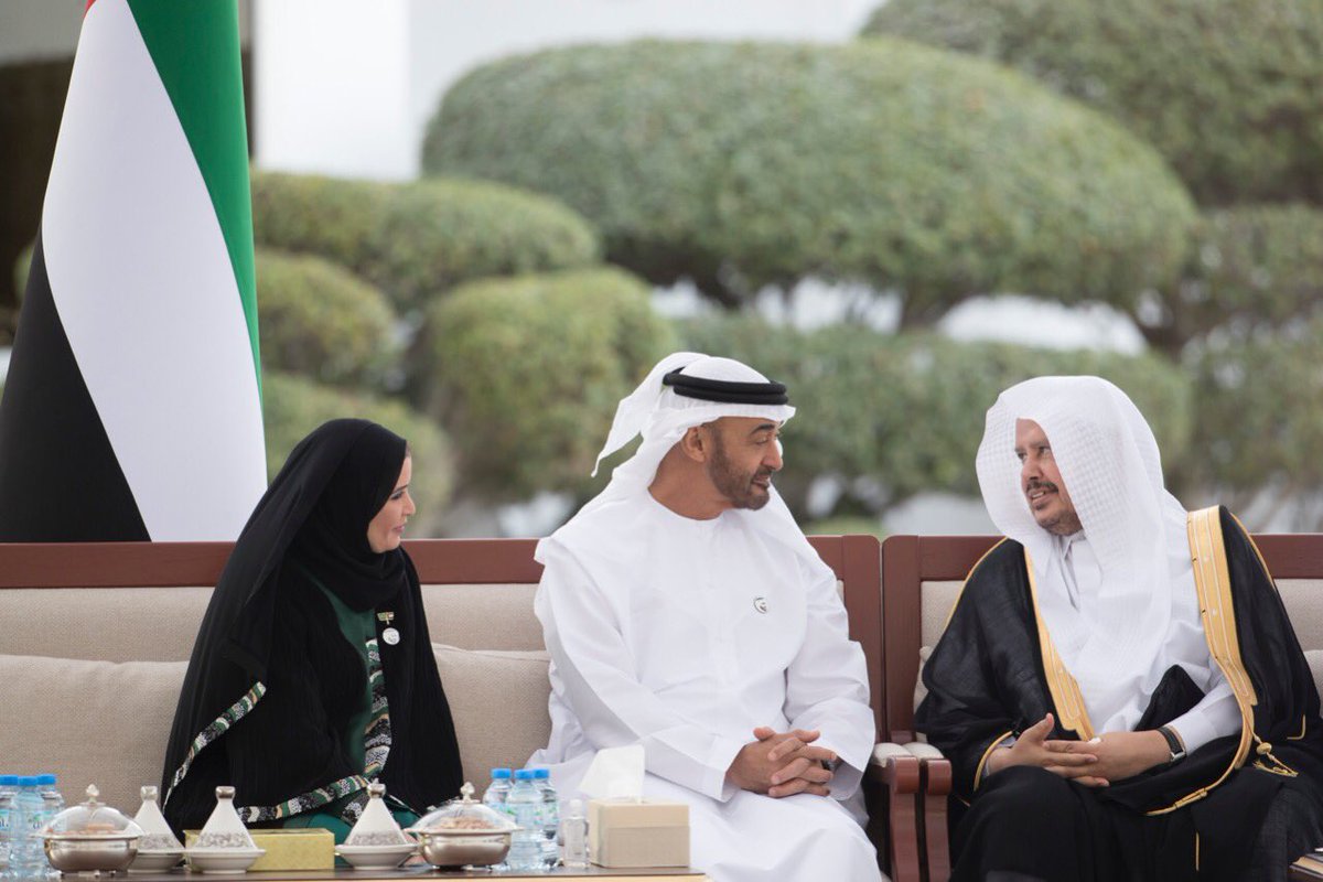 محمد بن زايد يبحث تعزيز العلاقات الثنائية مع آل الشيخ
