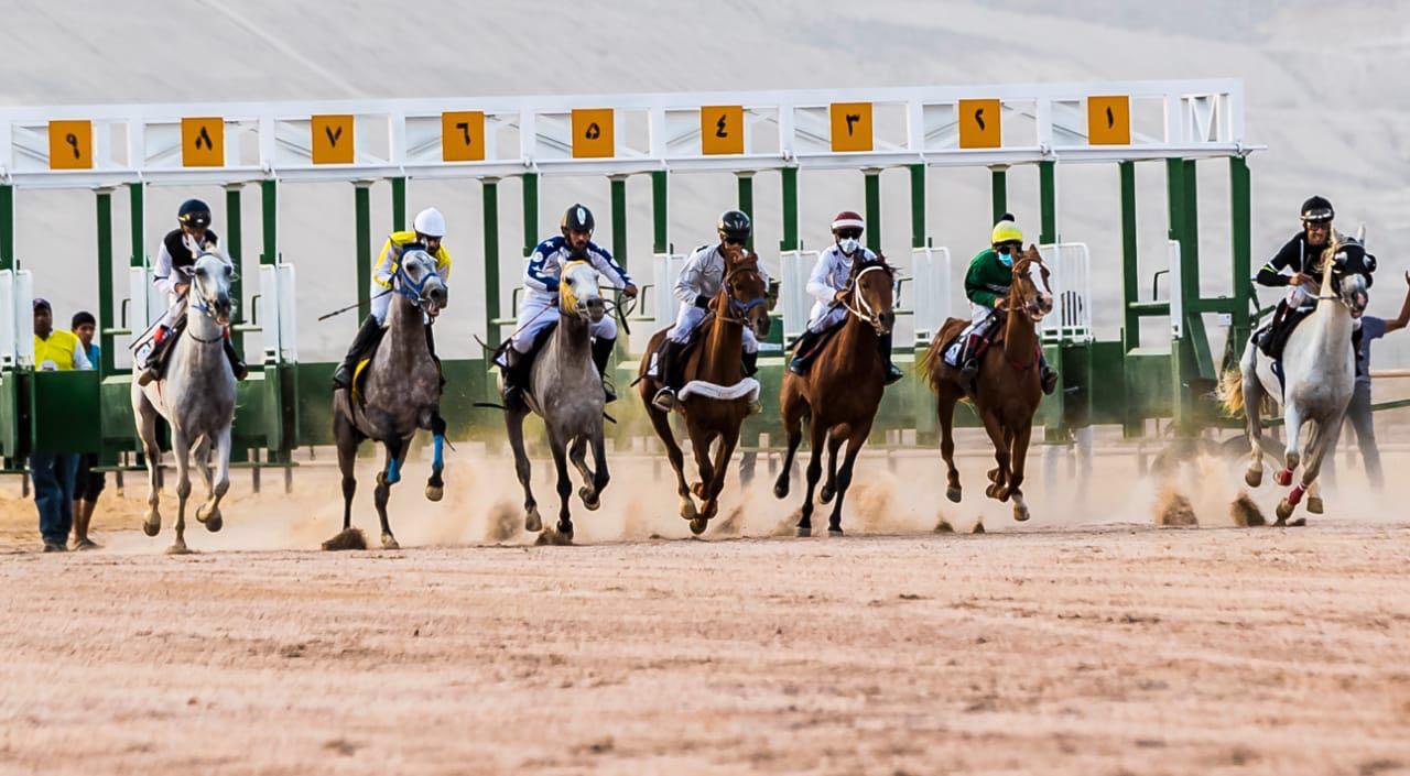 مربط العقيق للخيل العربية الأصيلة ينظم سباقاً تنشيطياً للموسم الحالي