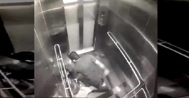 فيديو صادم.. رجل يعتدي على امرأة حامل داخل مصعد! - المواطن