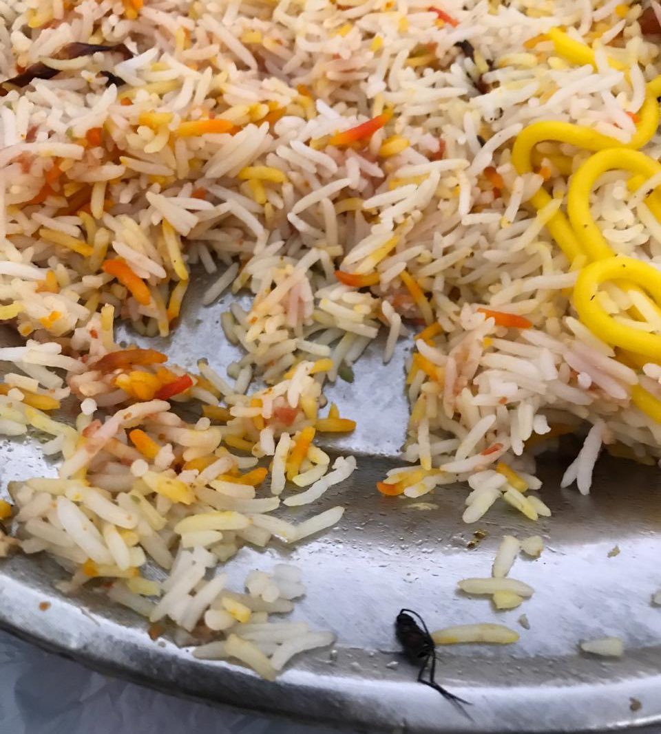 إغلاق 7 منشآت غذائية في مكة المكرمة بسبب الحشرات