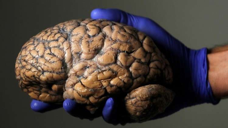 للمرة الأولى عالميًّا.. طبيب يجري جراحة دماغية لمريض على بعد 3 آلاف كم