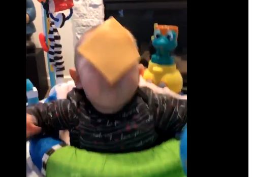 فيديو.. حمى الجبن تجتاح الإنترنت