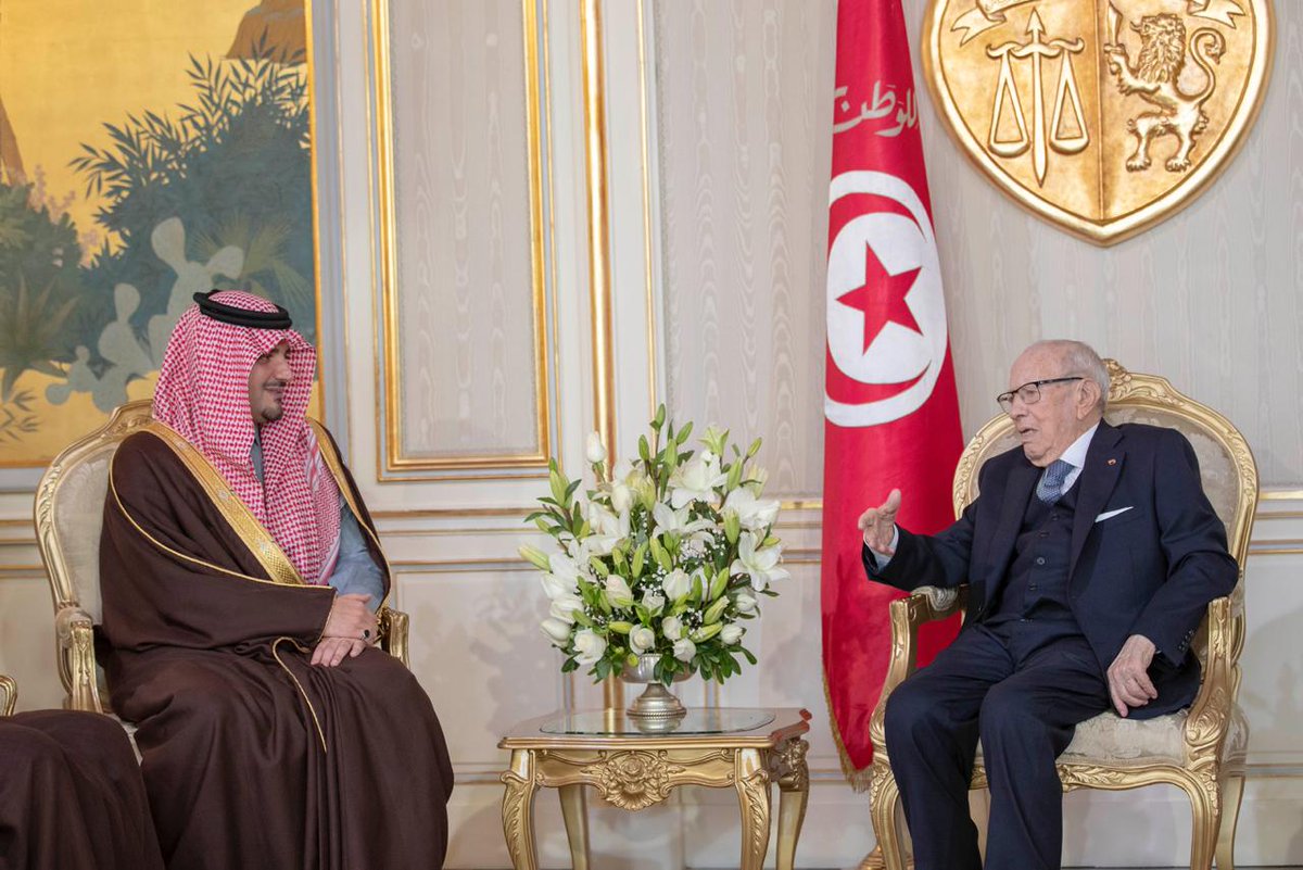 الرئيس التونسي يستقبل وزير الداخلية ويبحث معه تعزيز العلاقات الثنائية