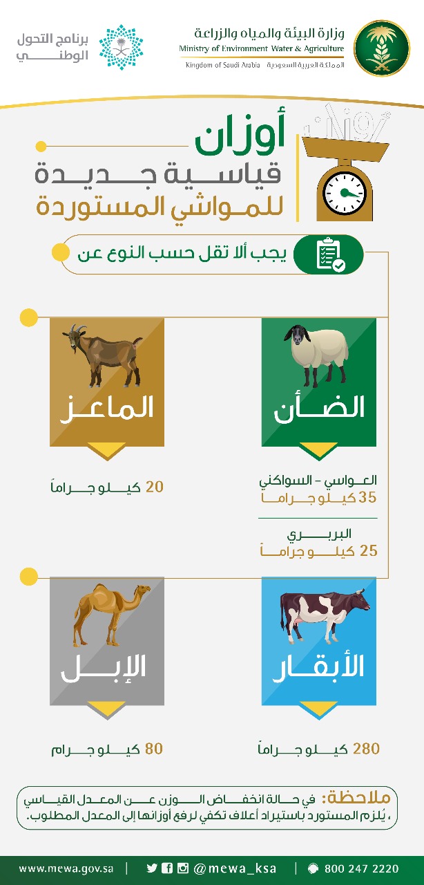 10 ضوابط جديدة لاستيراد المواشي الحيّة