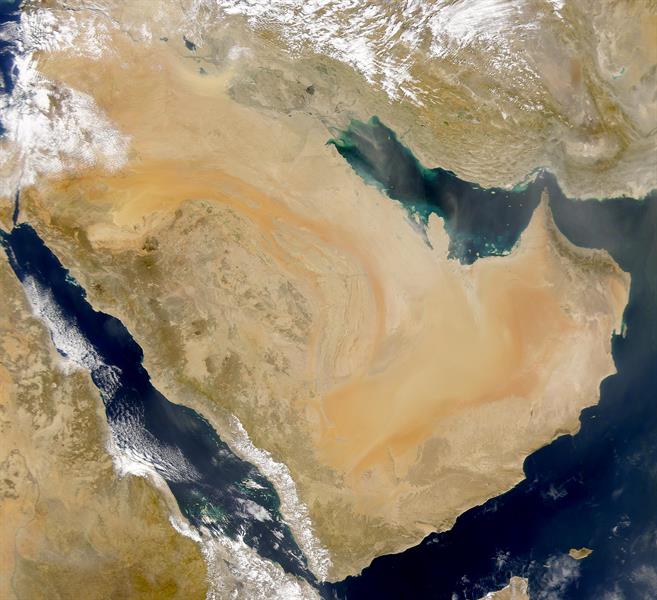 المسند عن طقس اليوم: سهود ومهود وغبار على الشرقية