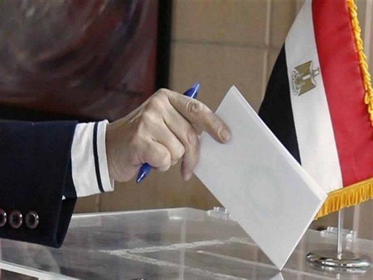 بدء التصويت في الاستفتاء على التعديلات الدستورية بمصر
