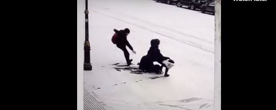 فيديو طريف .. حادث انزلاق جماعي بسبب جليد سان بطرسبورغ
