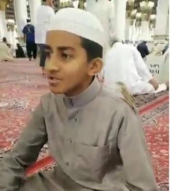 مشهد عجيب.. عصفور يستريح على كتف طفل يتلو القرآن بالمسجد النبوي