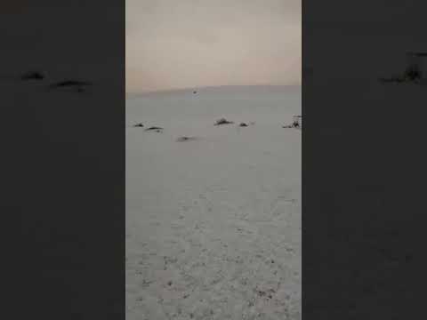 فيديو.. سقوط البرد بكثافة على طريق الرياض – خريص