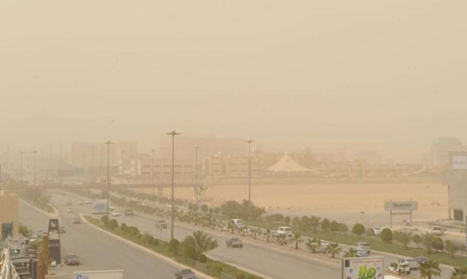 رياح مثيرة للأتربة والغبار على منطقة الباحة