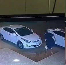 فيديو مروع.. دهس مالك سيارة بعد محاولته منع لص من سرقتها