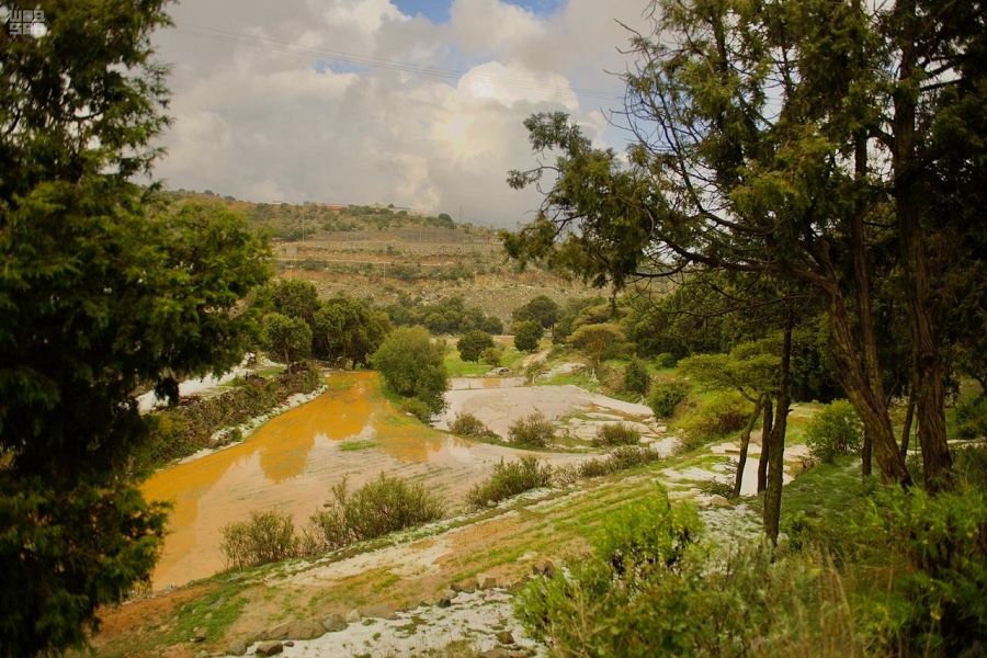 صور.. أمطار غزيرة على أبها وضواحيها تروي الأرض وتسيل الأودية والشعاب