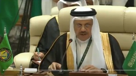 فيديو.. الزياني: القمة الخليجية تؤكد حرص الملك سلمان على مواجهة التحديات في المنطقة