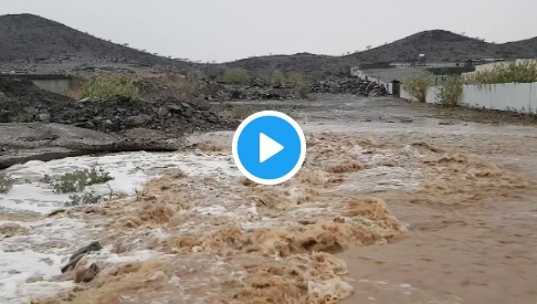 فيديو.. جريان الشعاب في السيل الكبير شمال الطائف