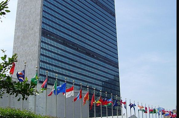 الأمم المتحدة تصادق على أربعة قرارات قدمتها المملكة في هذه المجالات