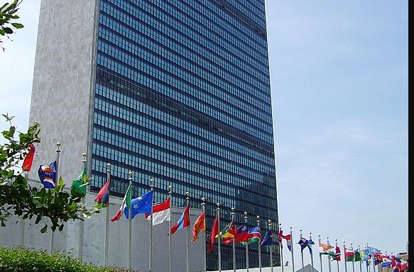 الأمم المتحدة تصادق على أربعة قرارات قدمتها المملكة في هذه المجالات