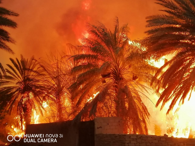 فيديو وصور.. حريق متعمد يلتهم مزرعة بدومة الجندل.. ظاهرة تكرر كل عام - المواطن