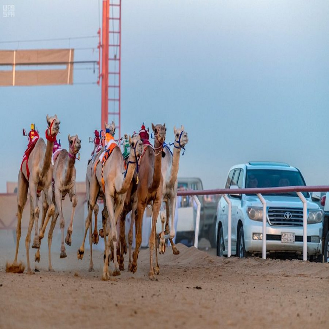 تمديد الفعاليات المصاحبة لمهرجان ولي العهد للهجن حتى 15 محرّم